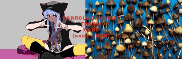 марки nbome Богородицк